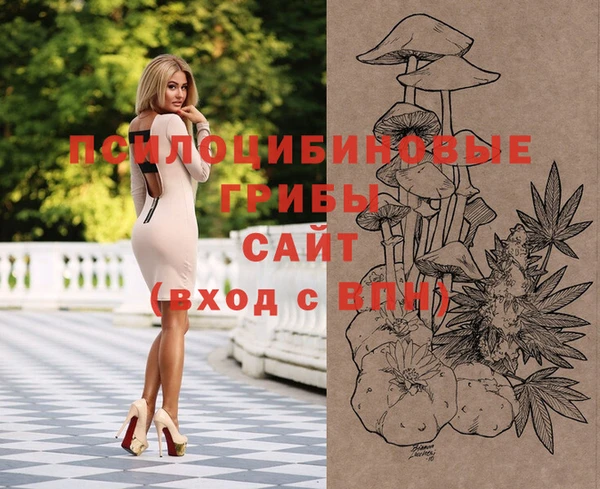 метамфетамин Ельня