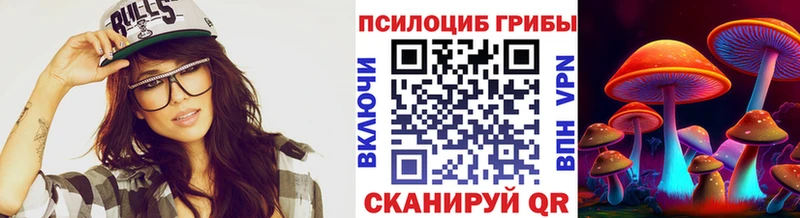 Галлюциногенные грибы мицелий как найти Гай